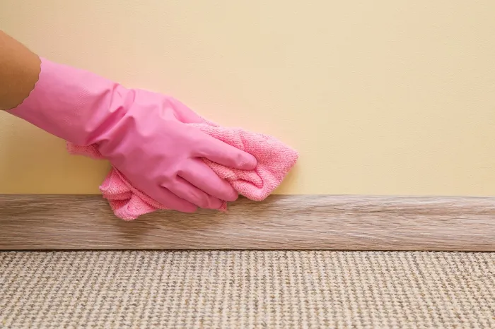 House Cleaner in East Wenatchee, WA House Cleaner in East Wenatchee, WA